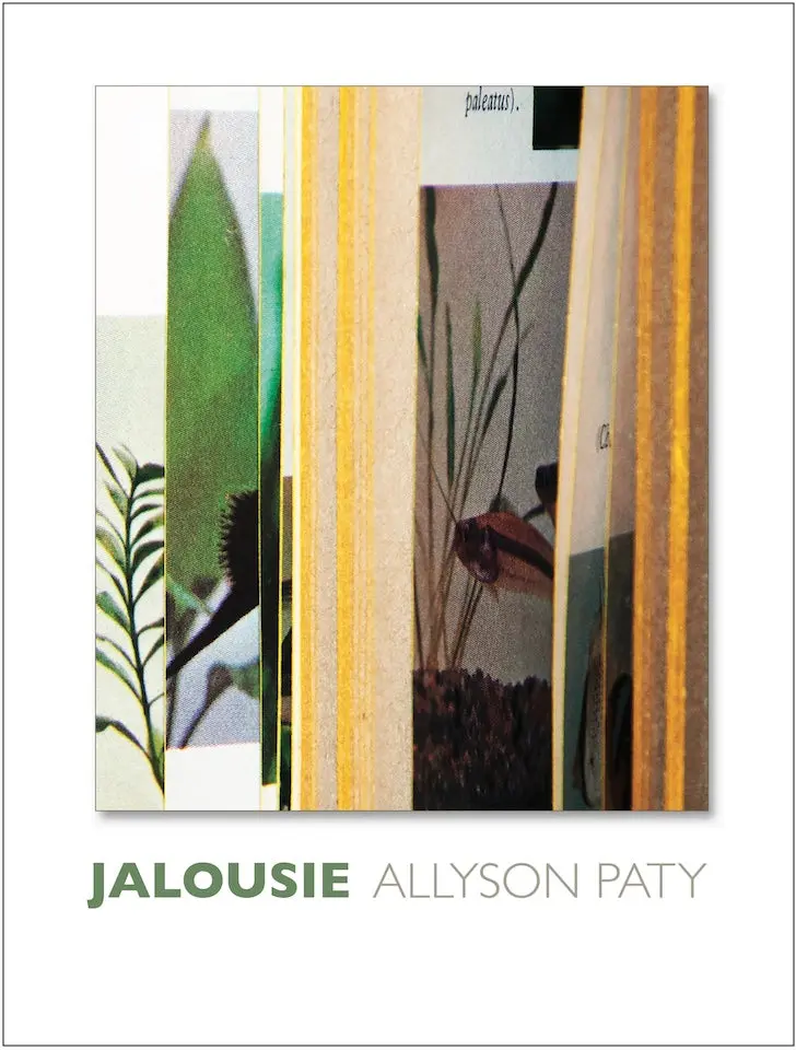 Paty, Allyson: Jalousie 1