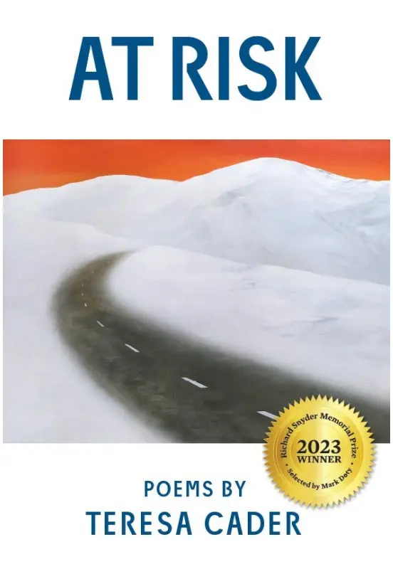 Cader, Teresa: At Risk 1