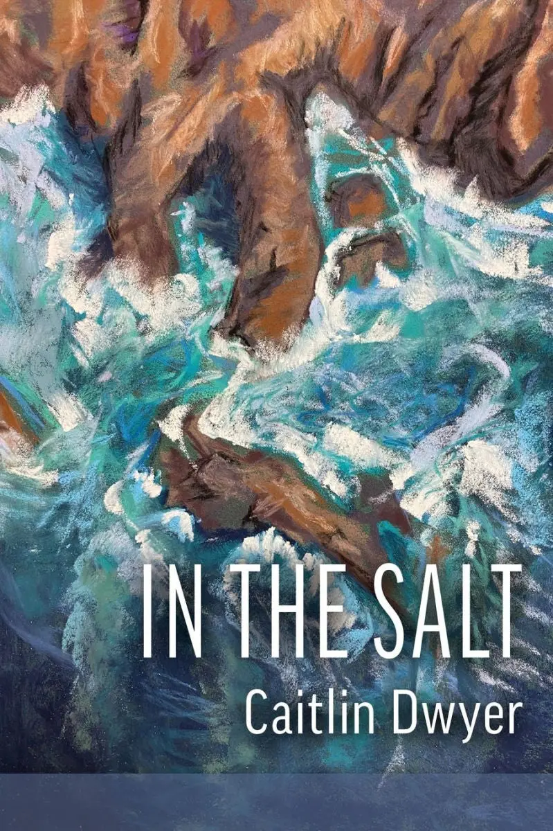 Dwyer, Caitlin: In The Salt 1