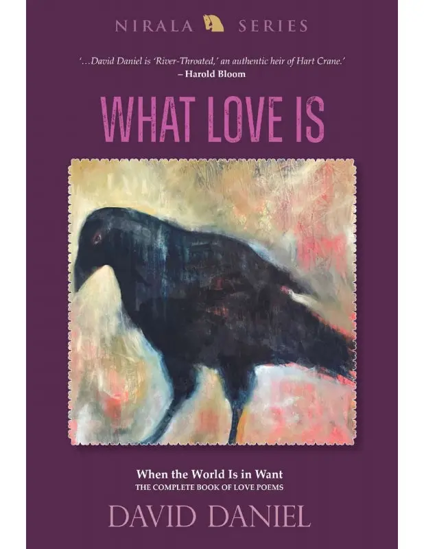 Daniel, David: What Love Is : When The World Is In Want 1