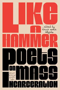 Delgado, Diana Marie (Ed.): Like A Hammer 1