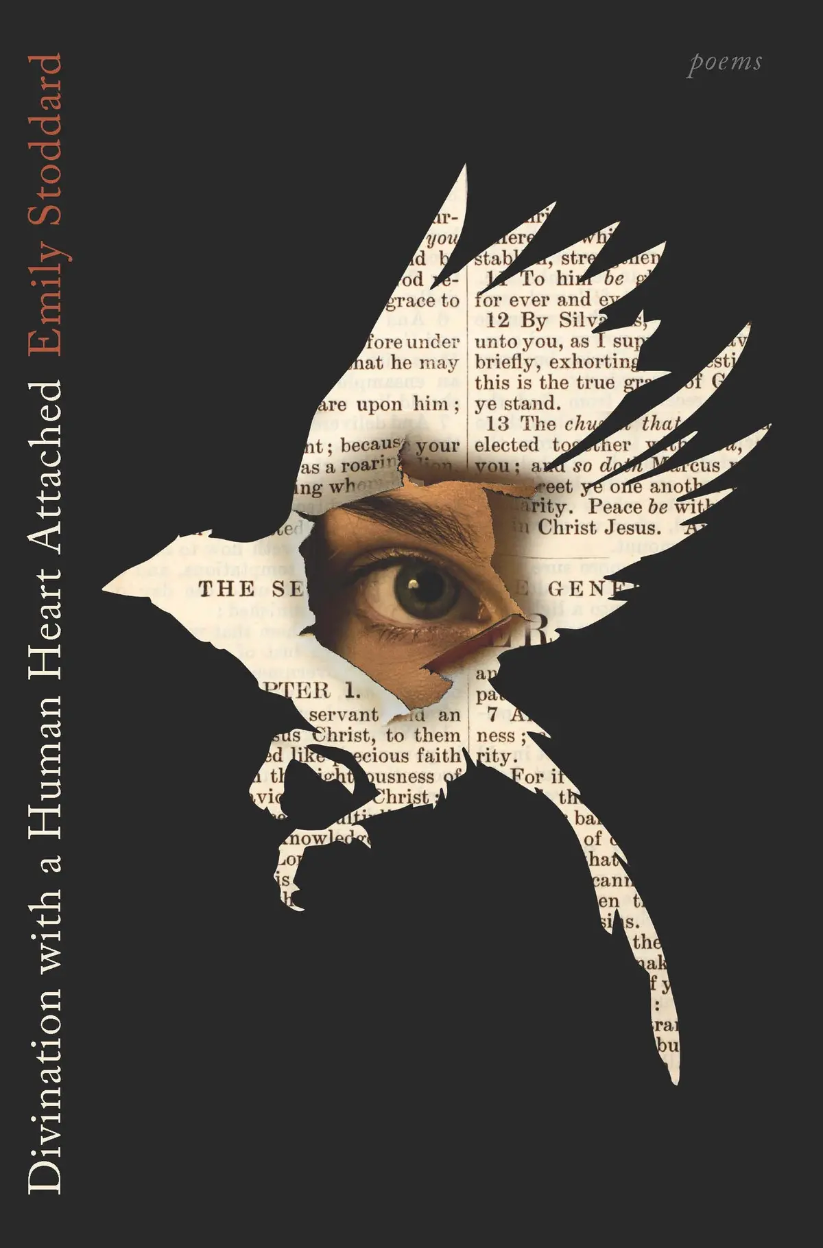 Stoddard, Emily: Divination With A Human Heart Attached 1