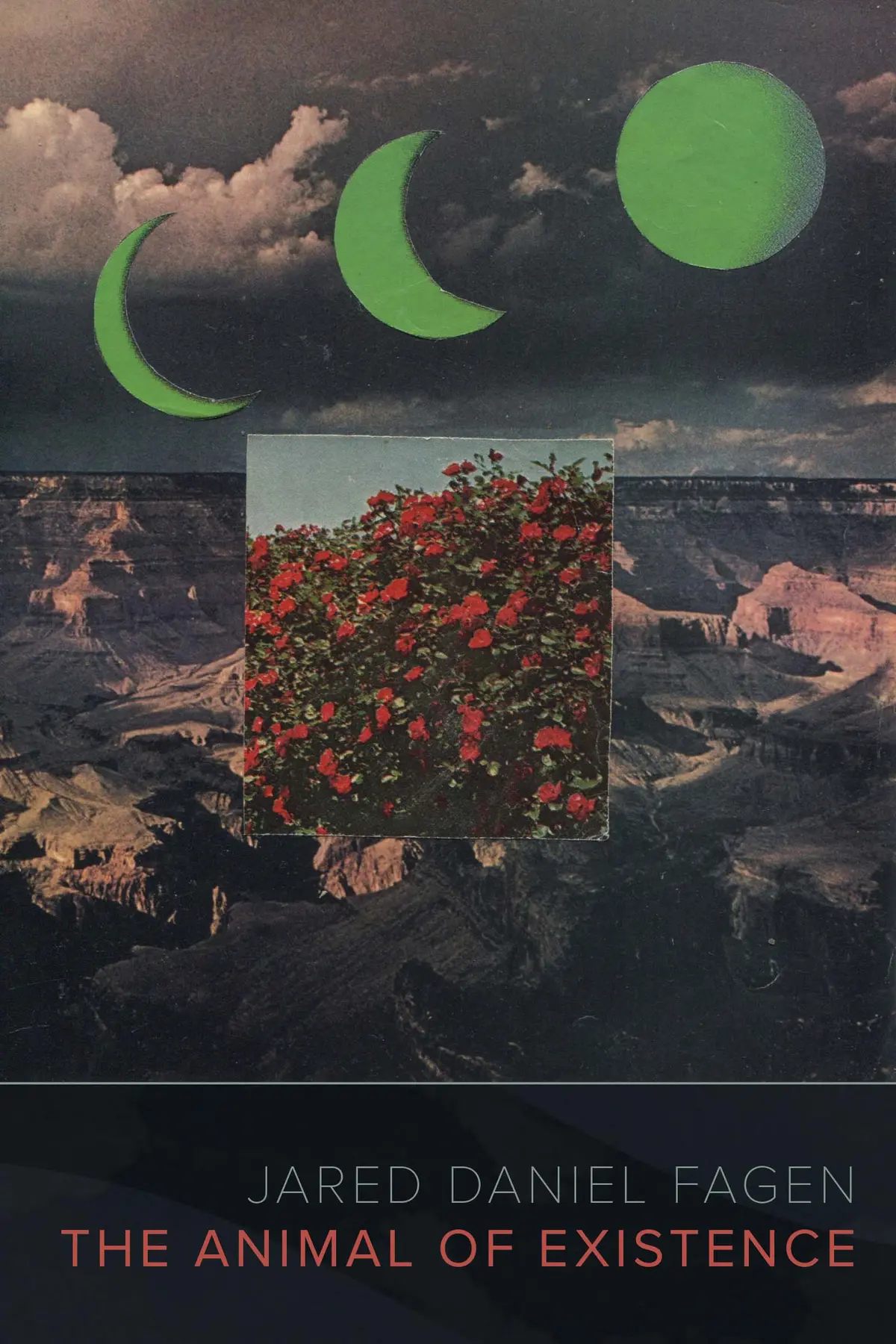 Fagen, Jared Daniel: Animal Of Existence 1