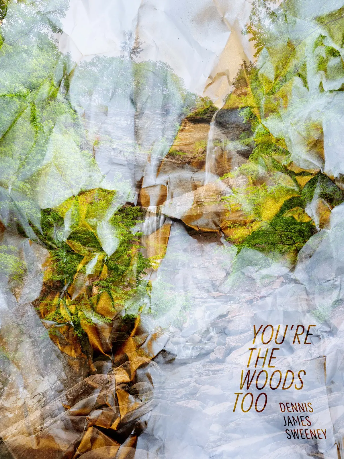 Sweeney, Dennis James: You're The Woods Too 1