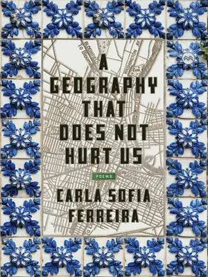 Ferreira, Carla Sofia: A Geography That Does Not Hurt Us 1