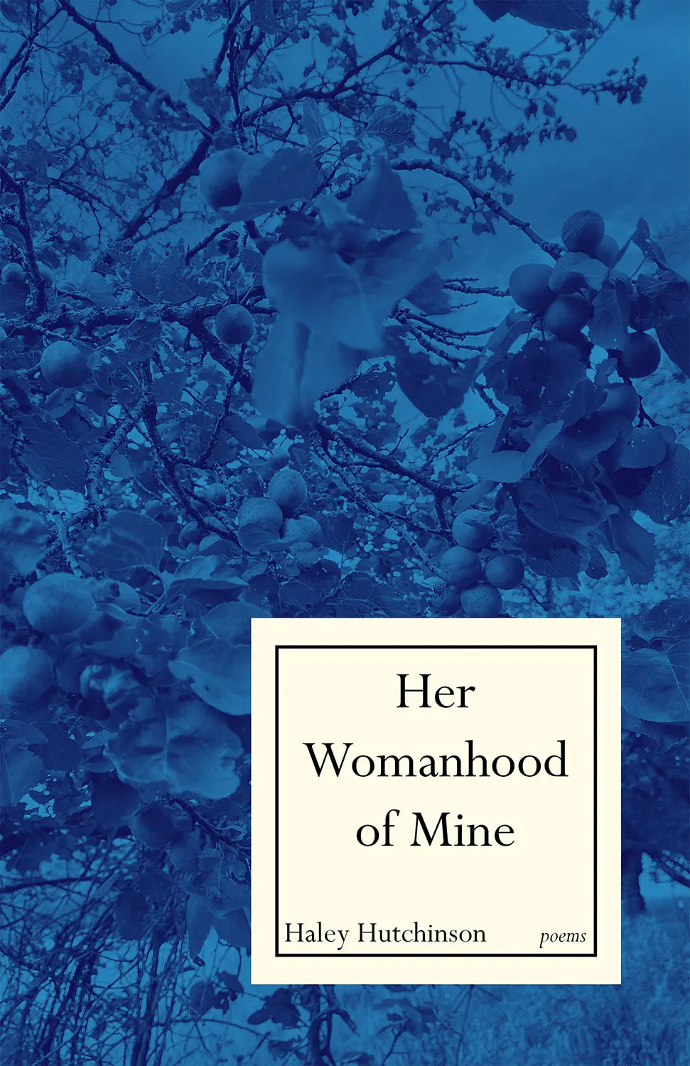 Hutchinson, Haley Smith: Her Womanhood And Mine 1