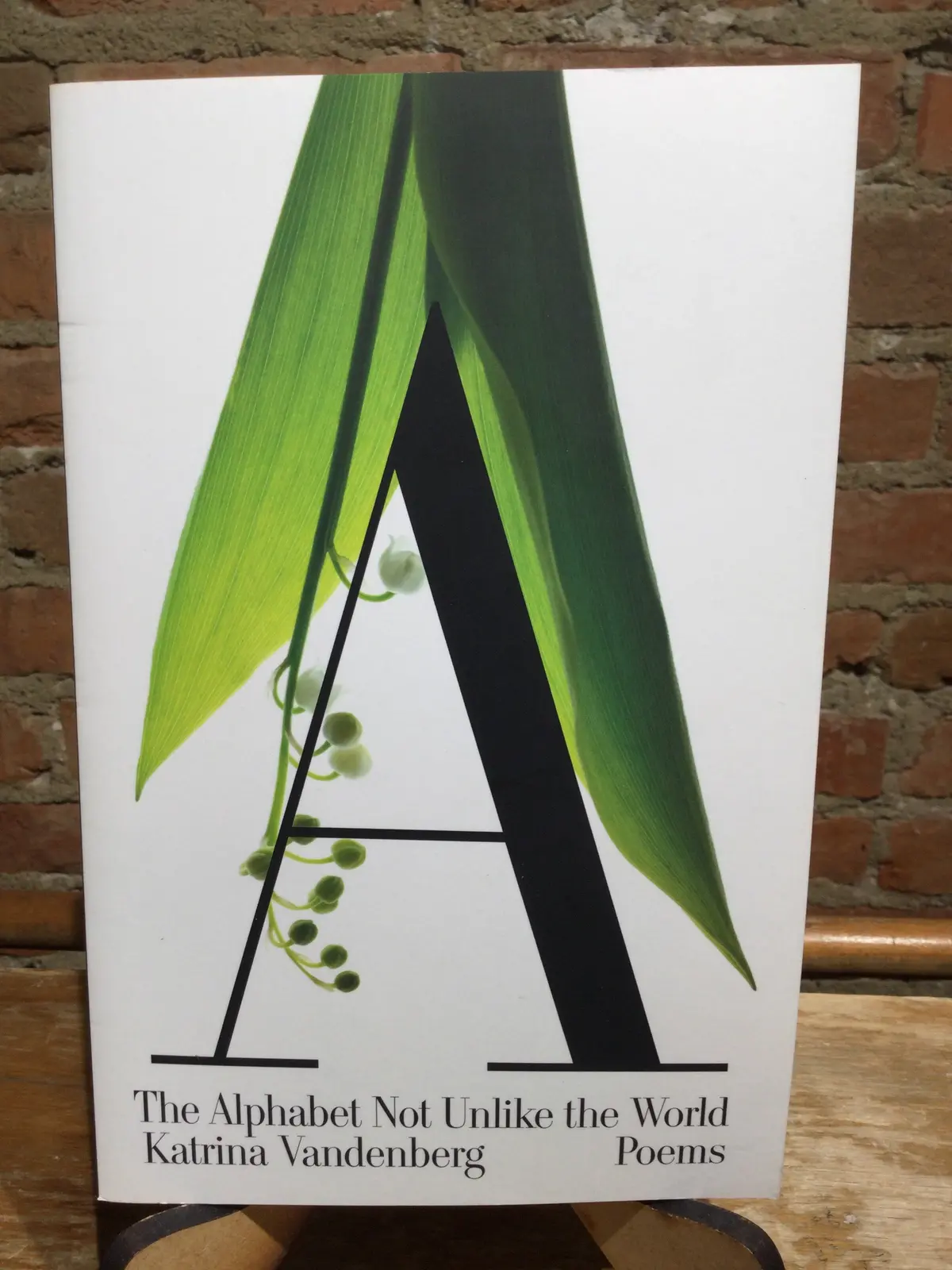 Vandenberg, Katrina: The Alphabet Not Unlike The World [Used Paperback] 1