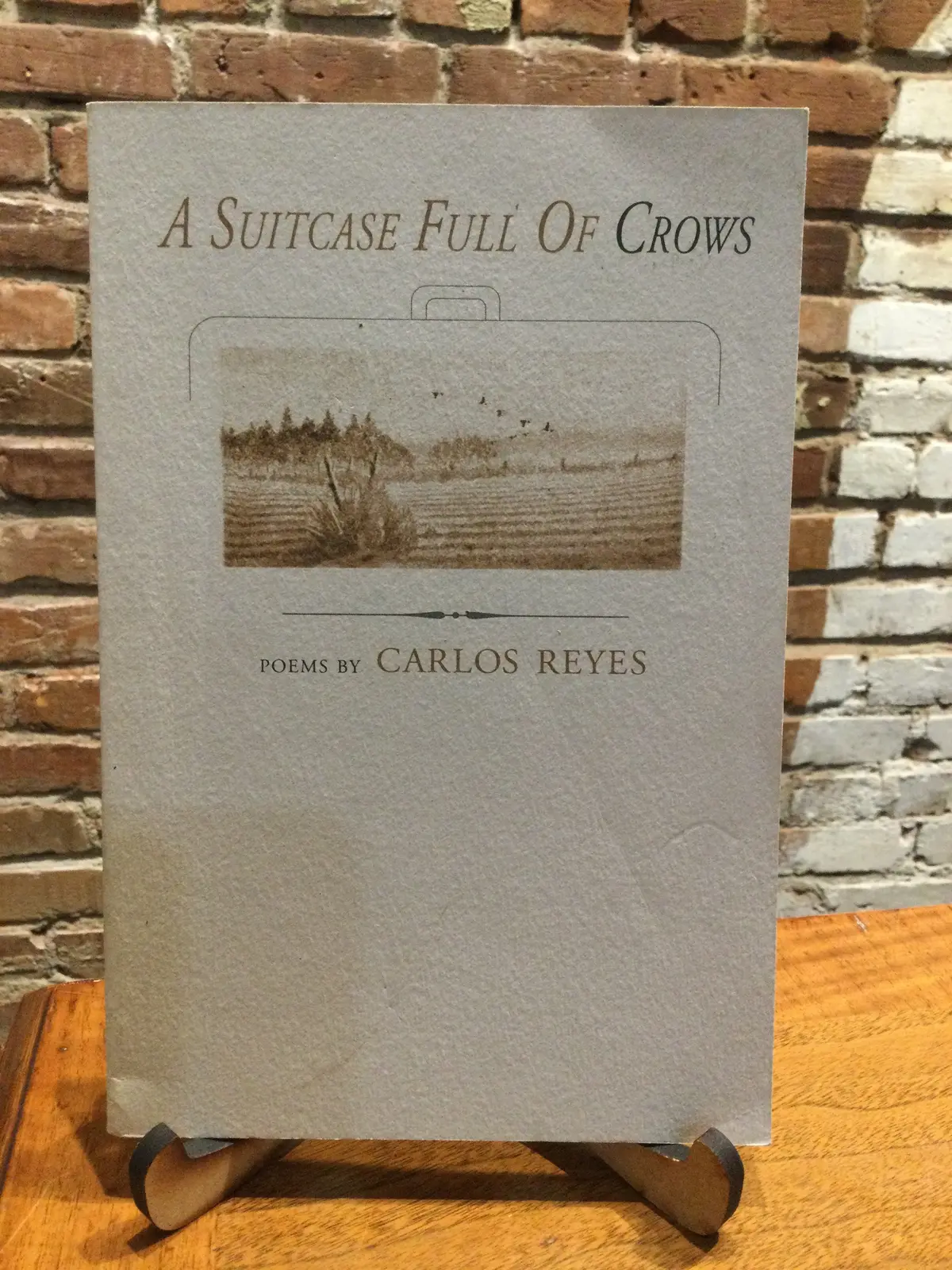 [Rare] Reyes, Carlos: A Suitcase Full Of Crows [Used Paperback] 1