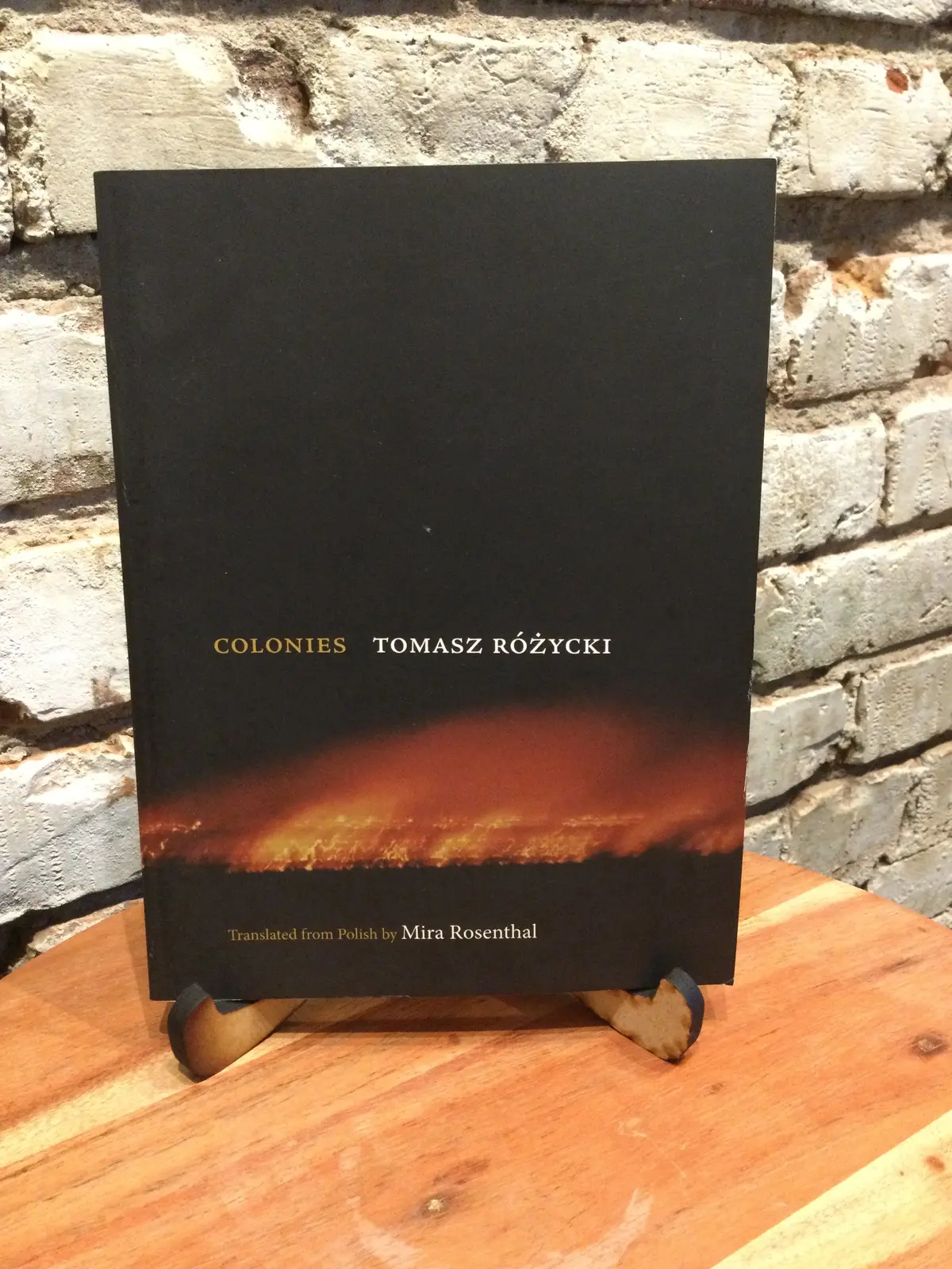 Różycki, Tomasz: Colonies [Used Paperback] 1