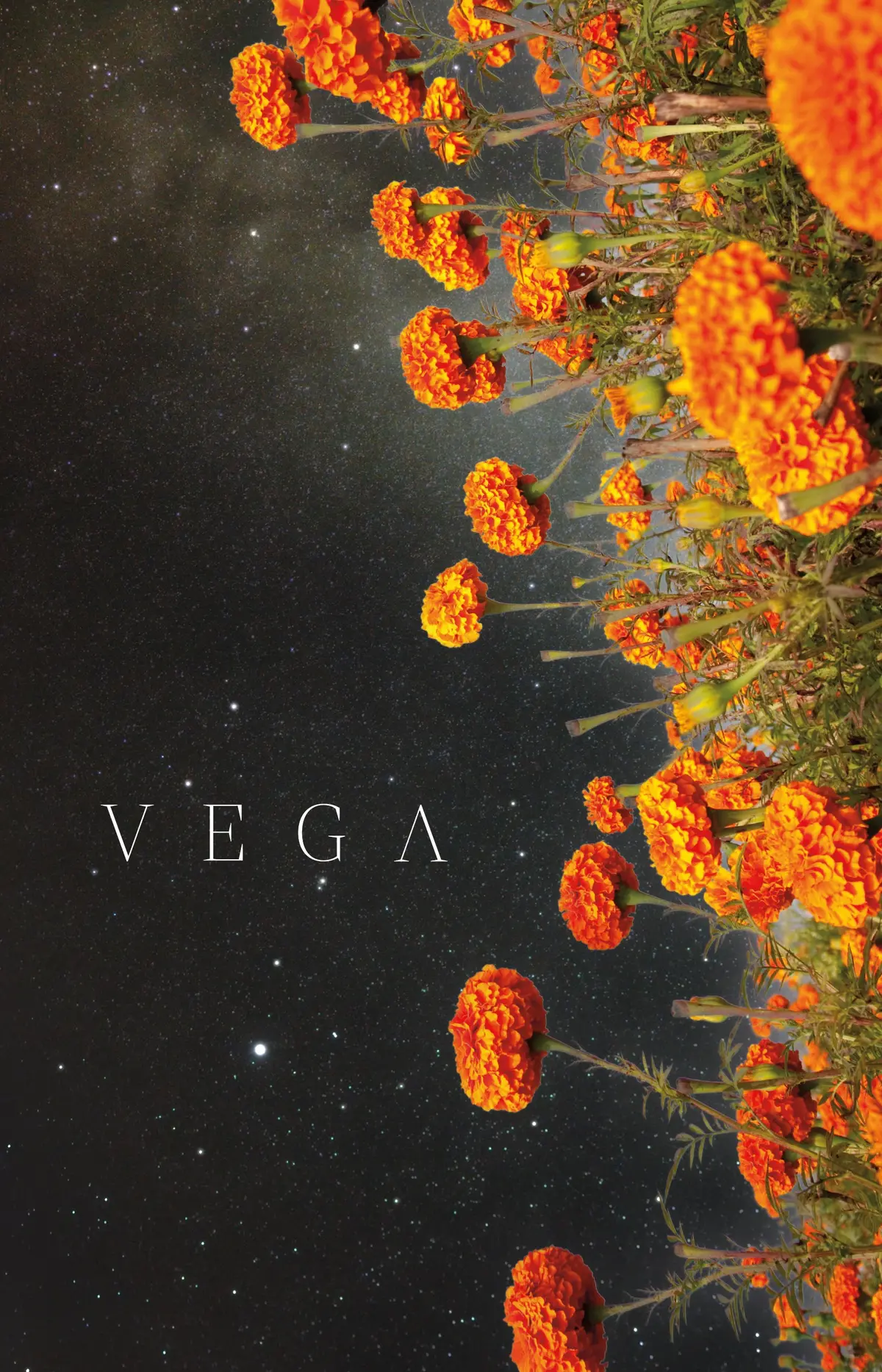 Vega, Christina: Vega 1