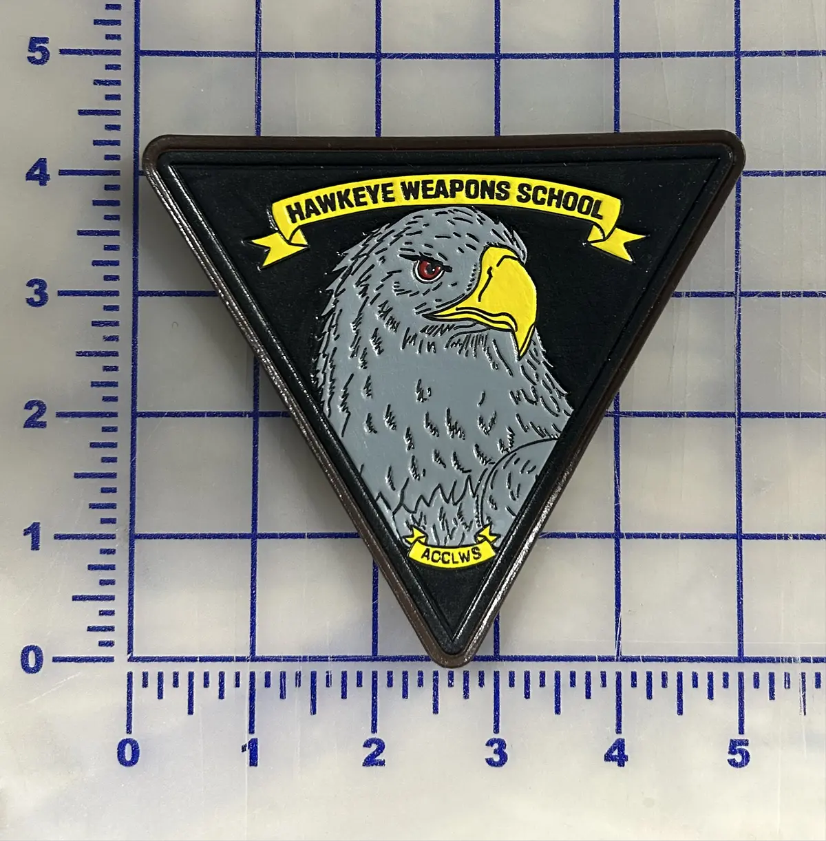 Officially Licensed E-2 Hawkeye Weapons School Leather Patch 1