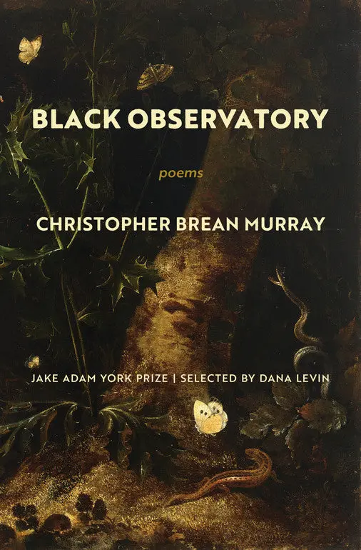 Brean Murray, Christopher: Black Observatory 1