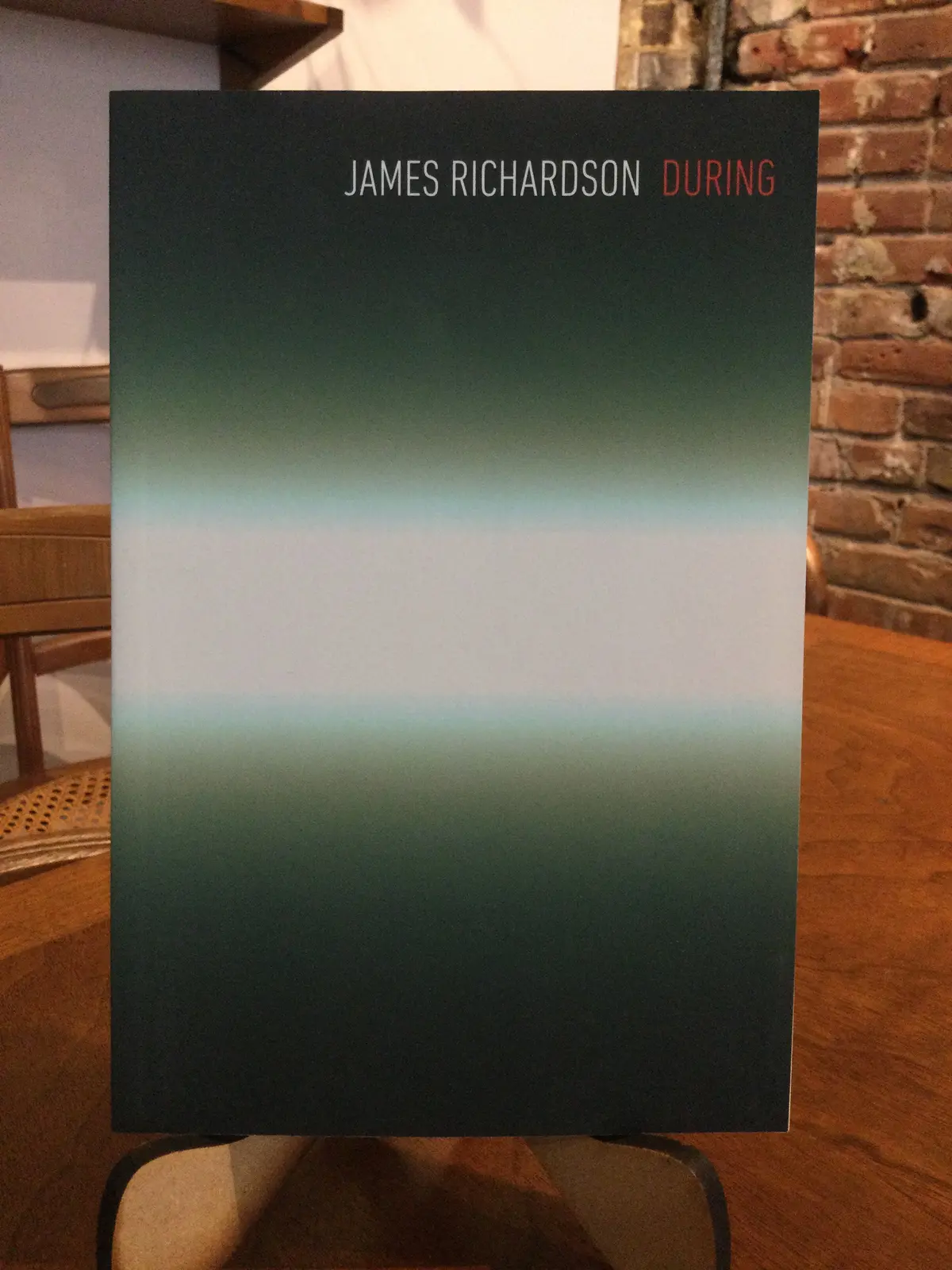 Richardson, James: During [Used Paperback] 1