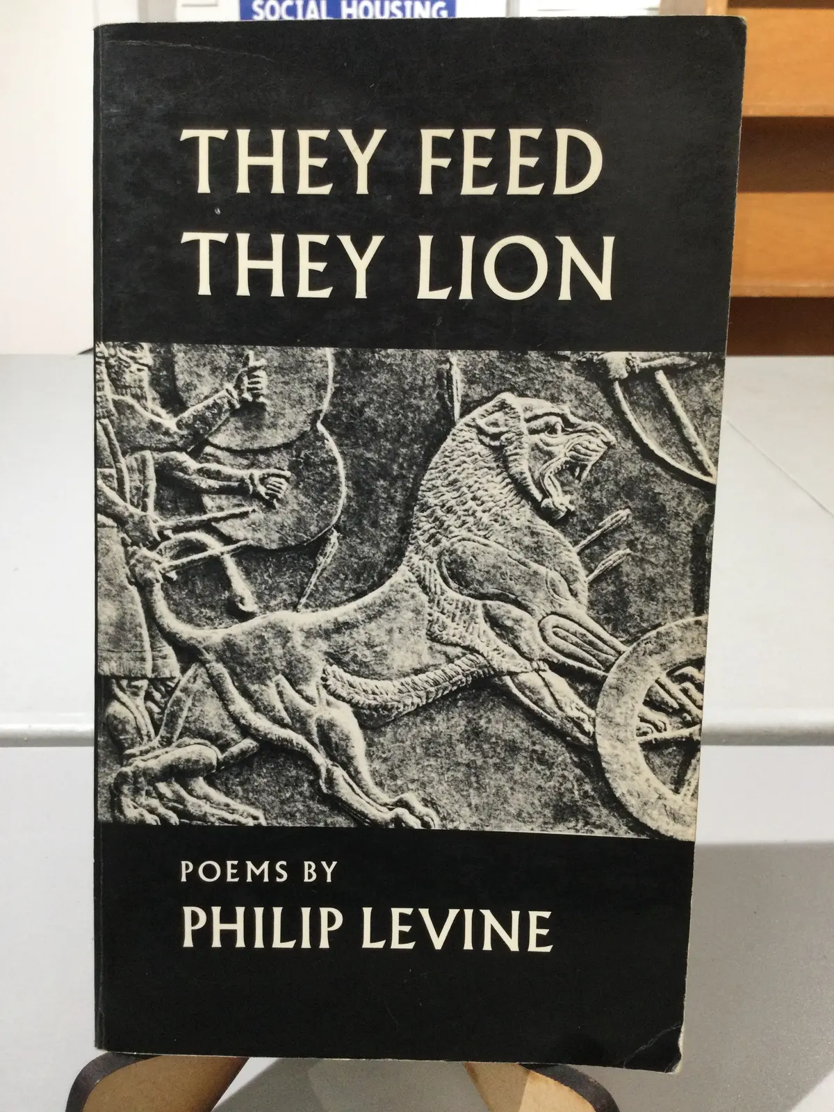 [Rare] Levine, Philip: They Feed They Lion [Used Paperback] 1