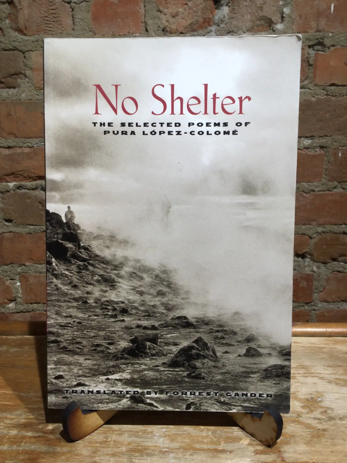 López-Colomé, Pura: No Shelter: The Selected Poems Of Pura López-Colomé [Used Paperback] 1