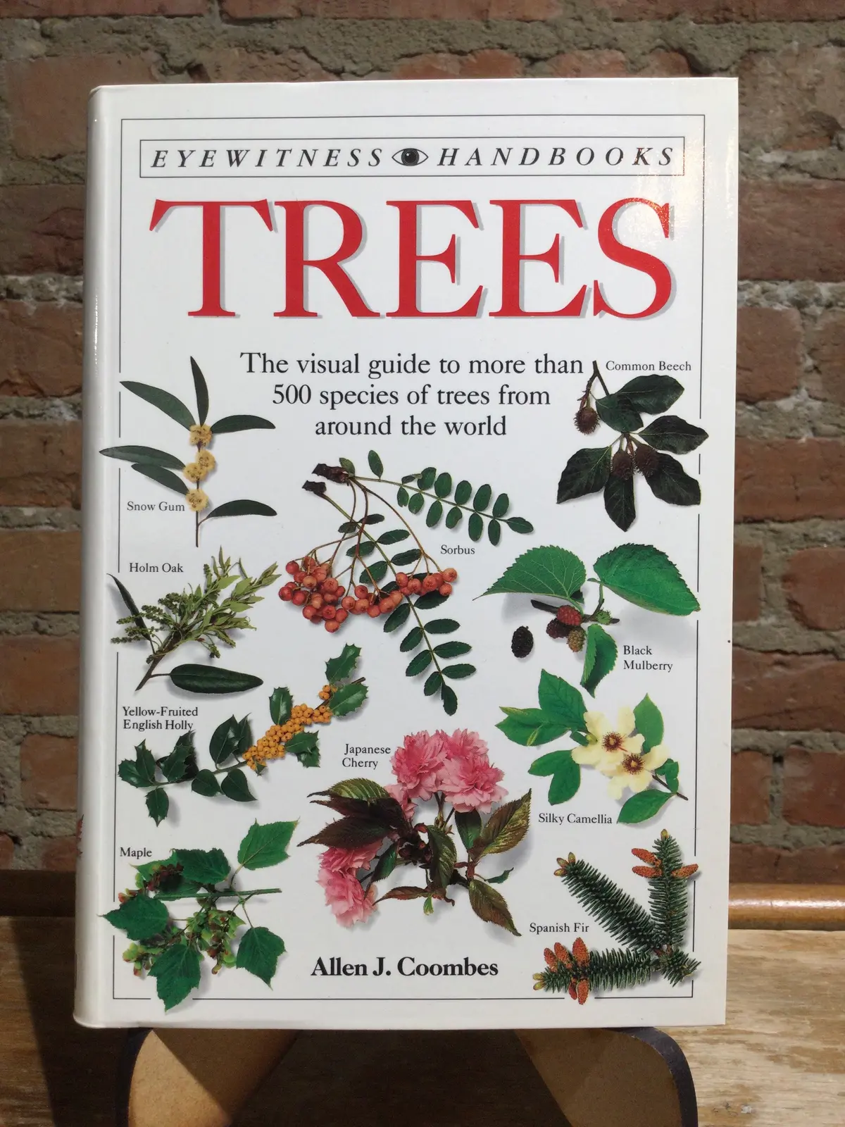 Coombes, Allen J.: Trees: The Visual Guide To More Than 500 Species Of Trees From Around The World [Used Paperback] 1
