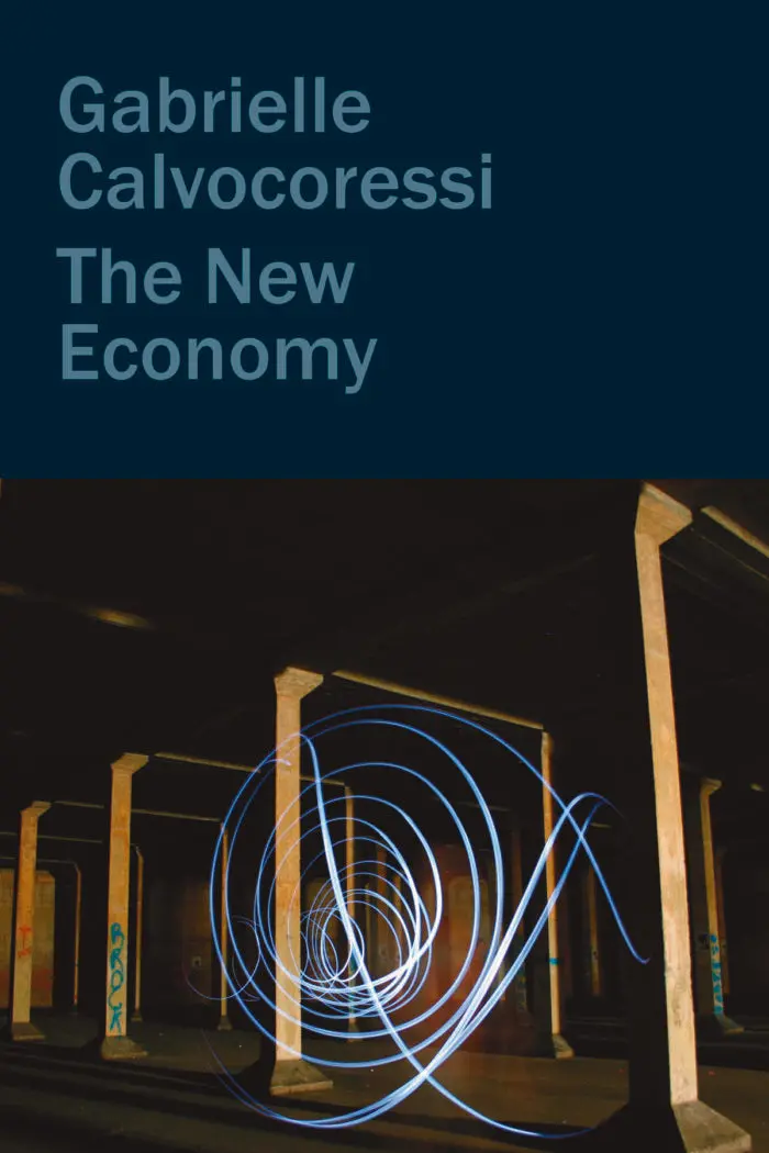 Calvocoressi, Gabrielle: The New Economy (Hb) 1
