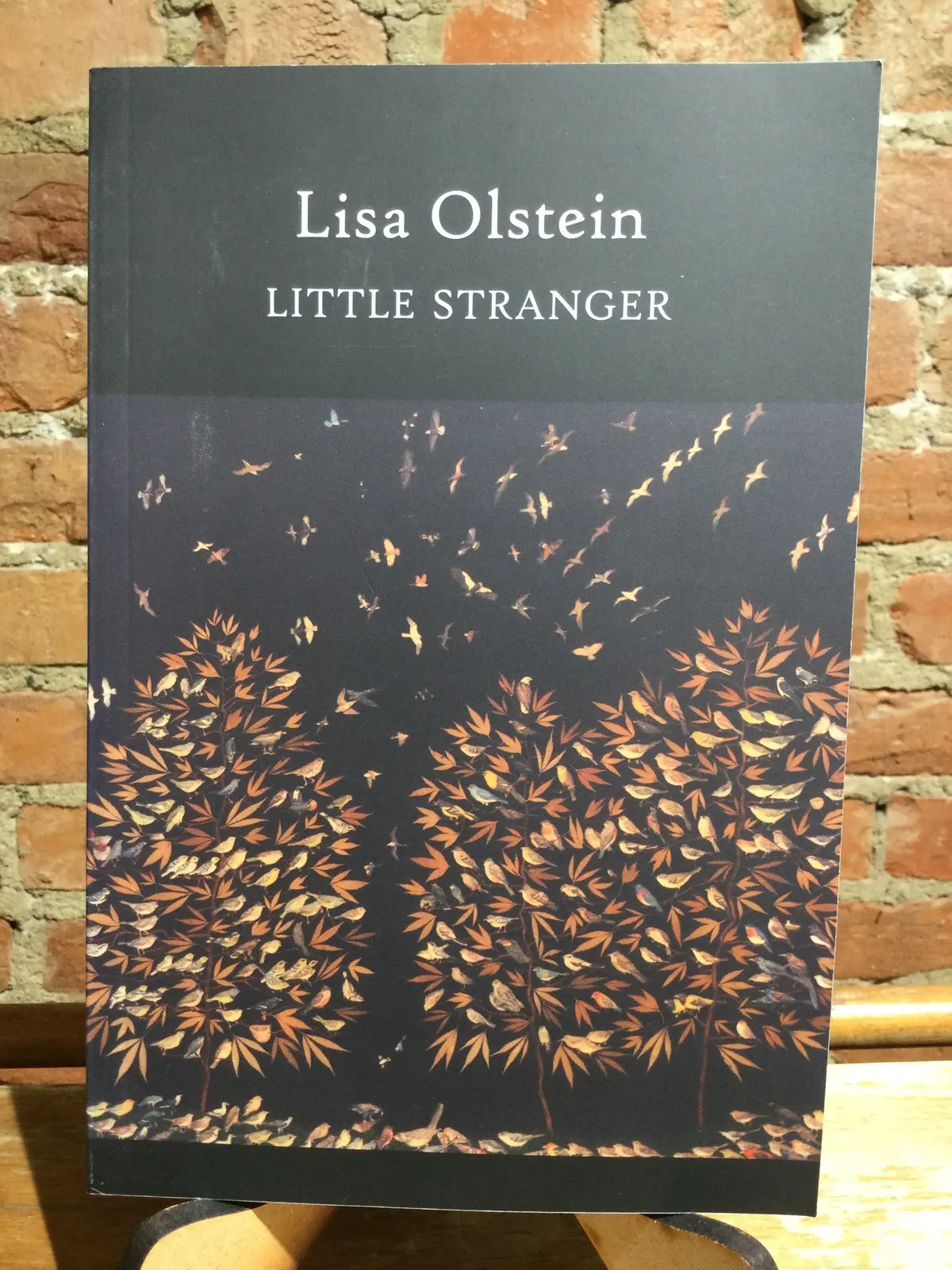 Olstein, Lisa: Little Stranger [Used Paperback] 1