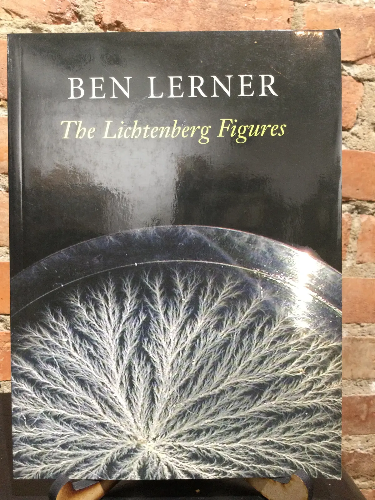 Lerner, Ben: The Lichtenberg Figures [Used Paperback] 1