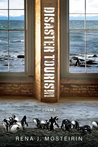 Mosteirin, Rena J.: Disaster Tourism 1