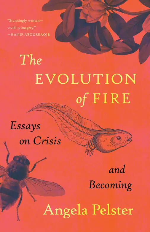Pelster, Angela: The Evolution Of Fire 1
