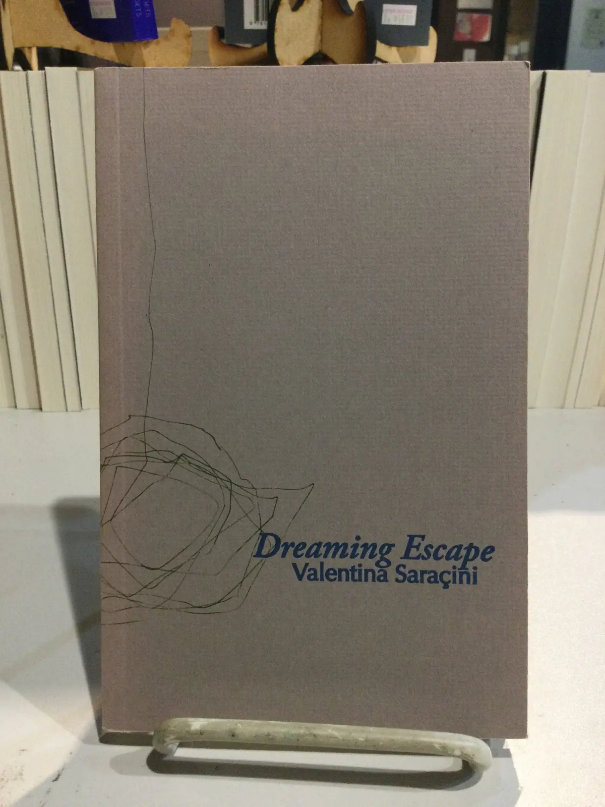 Saracini, Valentina: Dreaming Escape [Used Paperback] 1