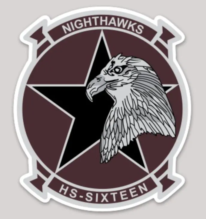 Officially Licensed Hs-16 Nighthawks Sticker 1