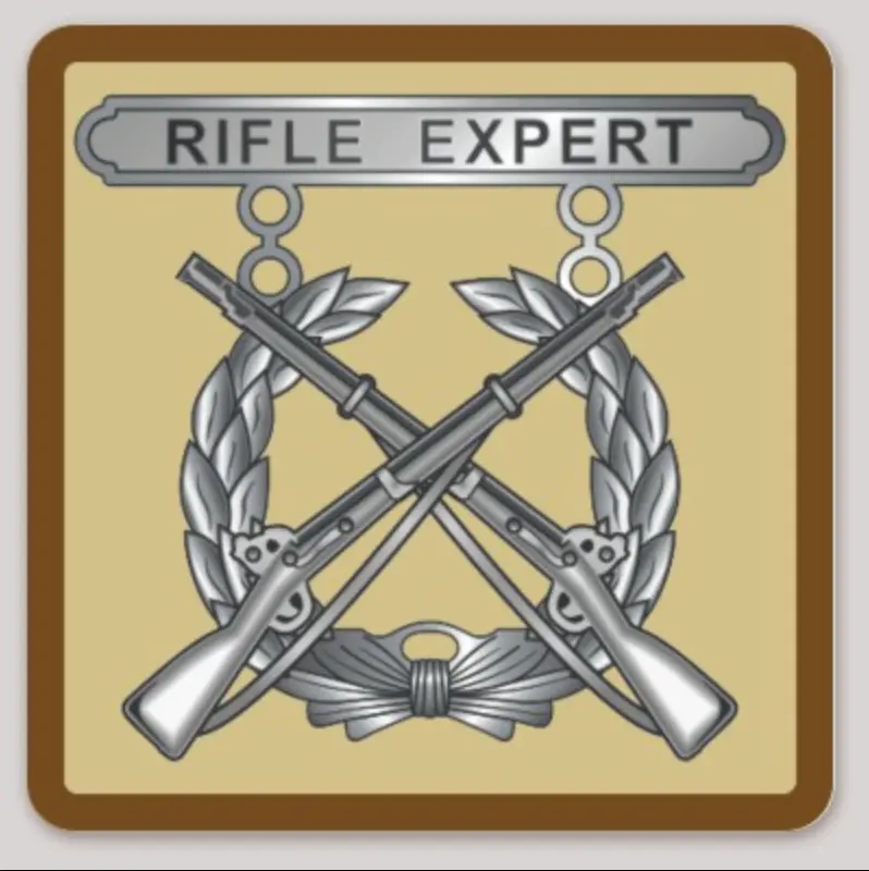Official Rifle Expert Shooting Badge Sticker 1
