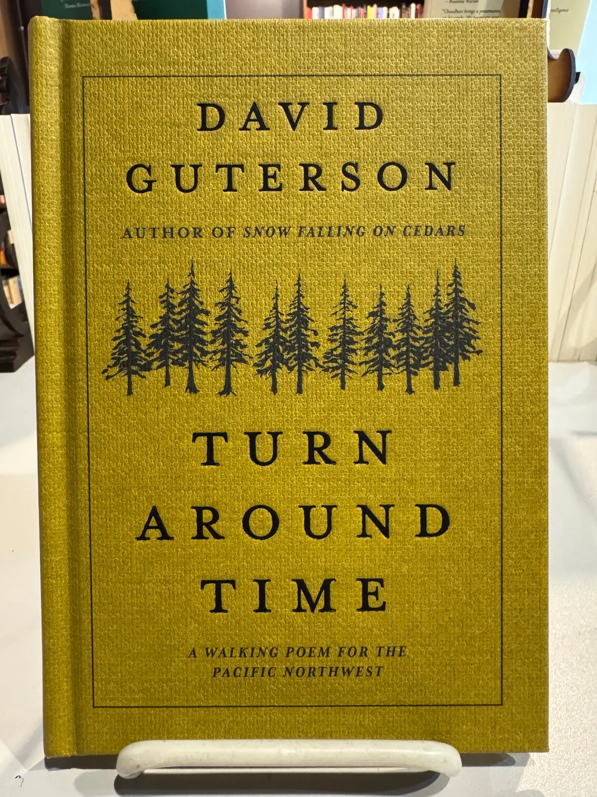 Guterson, David: Turn Around Time [Used Hardcover] 1