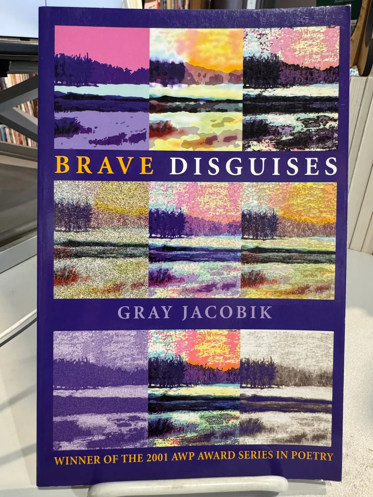 Jacobik, Gray: Brave Disguises [Used Paperback] 1