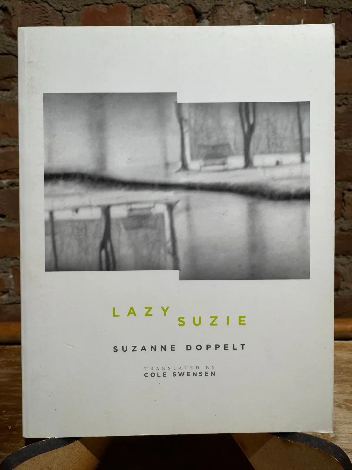 Doppelt, Suzanne: Lazy Suzie [Used Paperback] 1