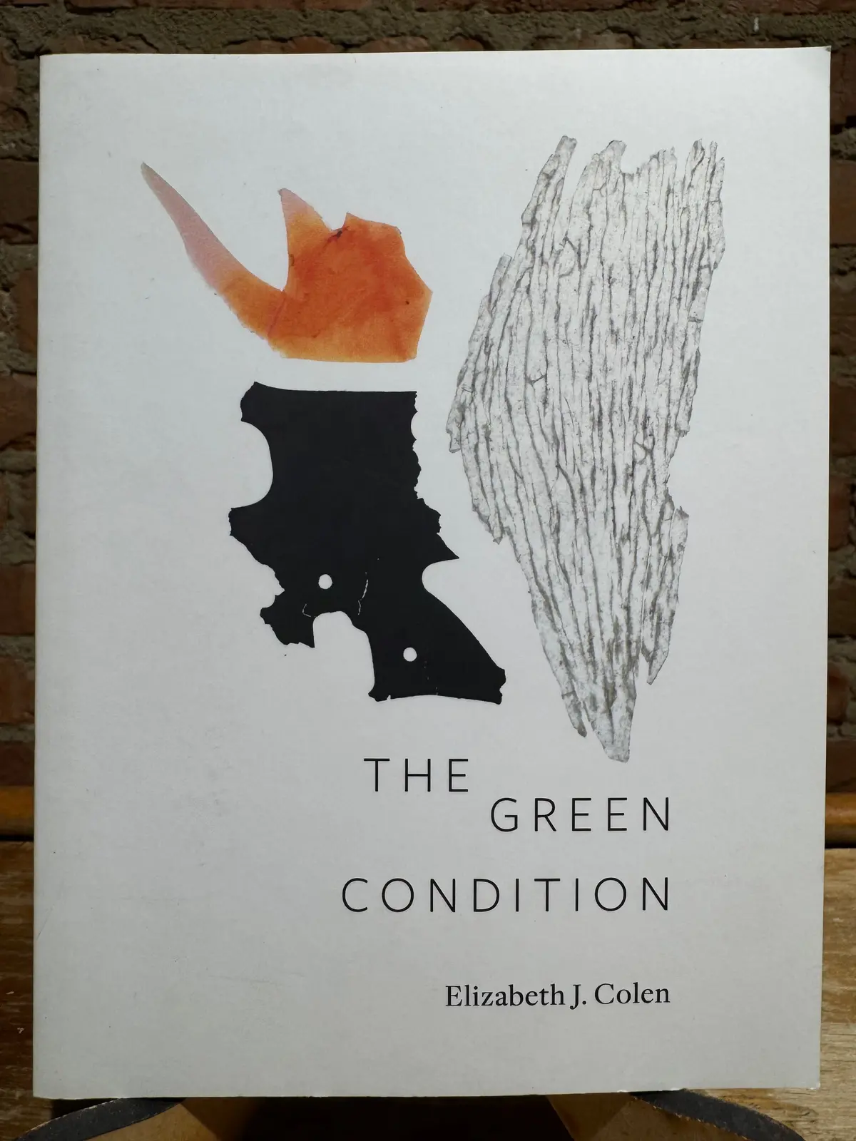 Colen, Elizabeth J.: The Green Condition [Used Paperback] 1