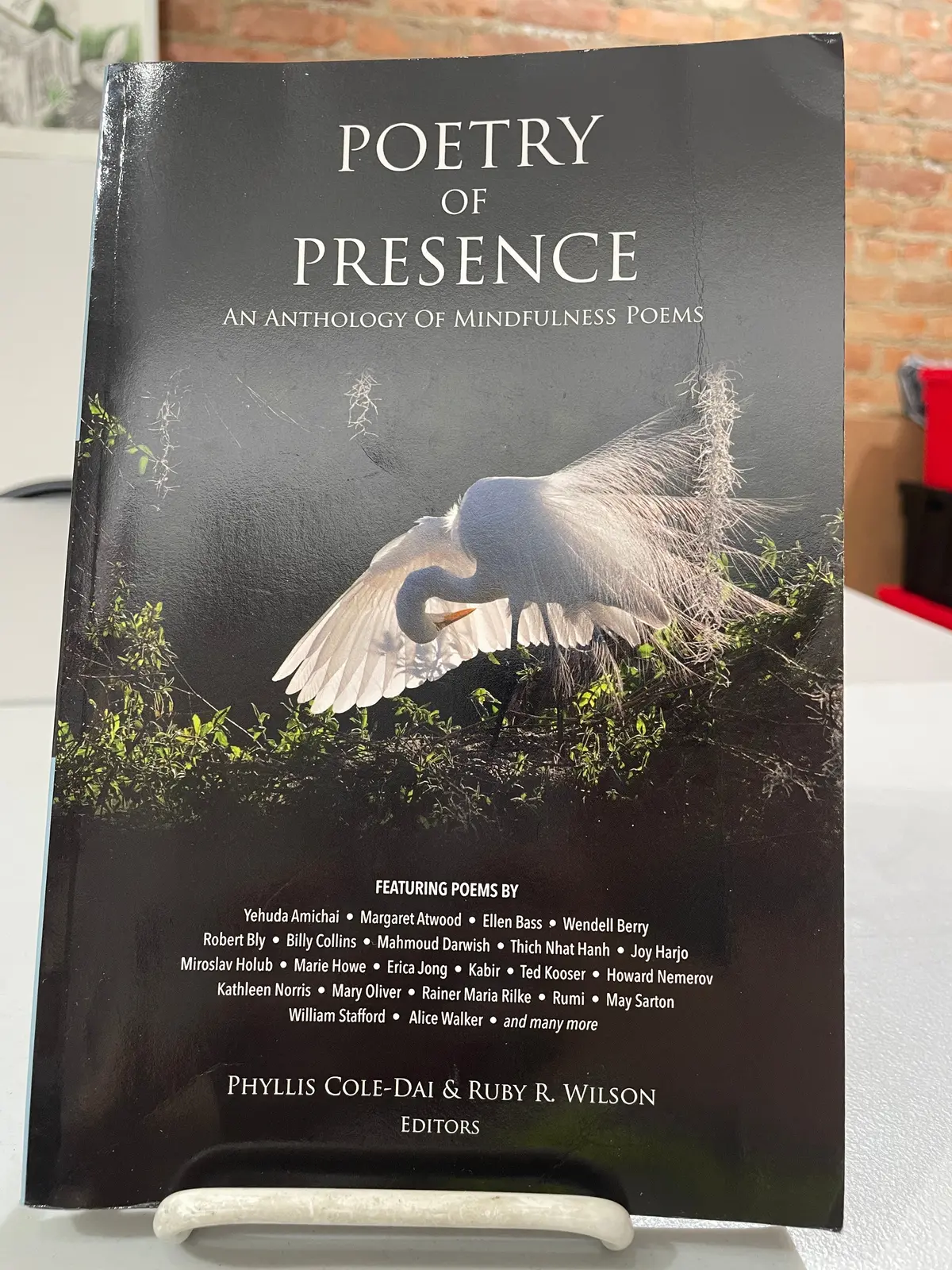 Ed. Cole-Dai Phyllis & Ruby R. Wilson: Poetry Of Presence [Used Paperback] 1