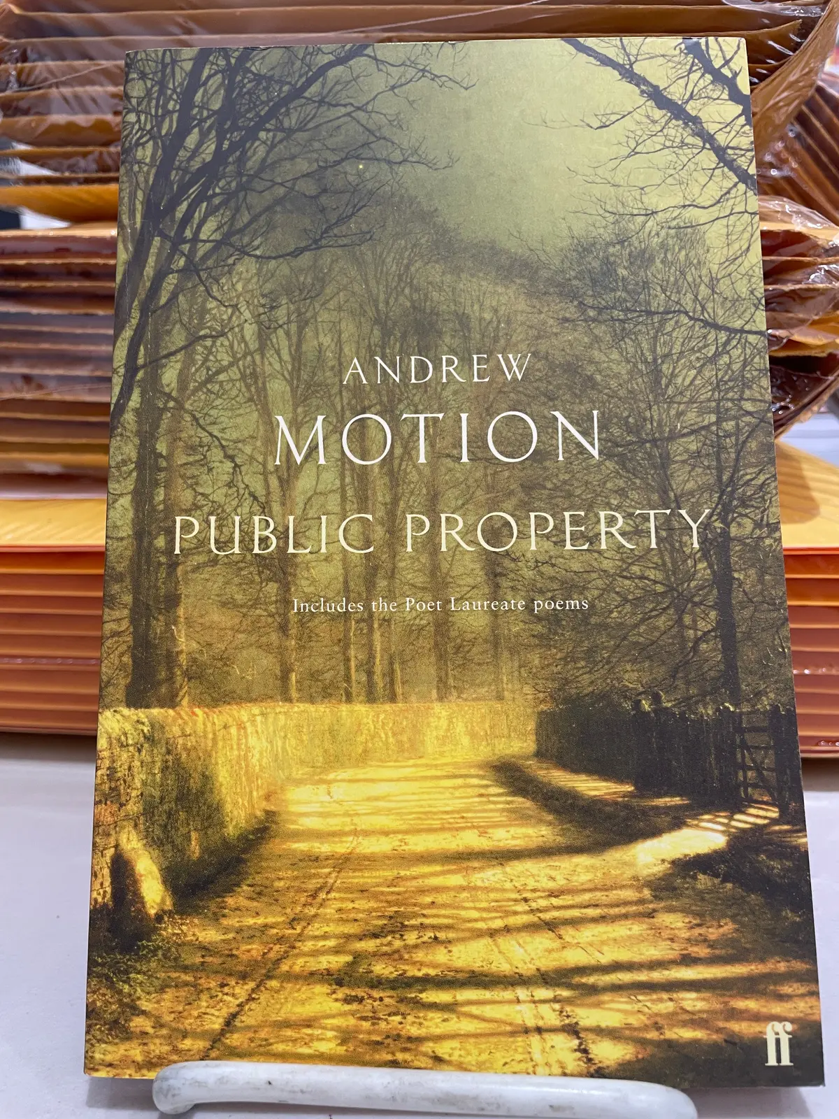Motion, Andrew: Public Property [Used Paperback] 1