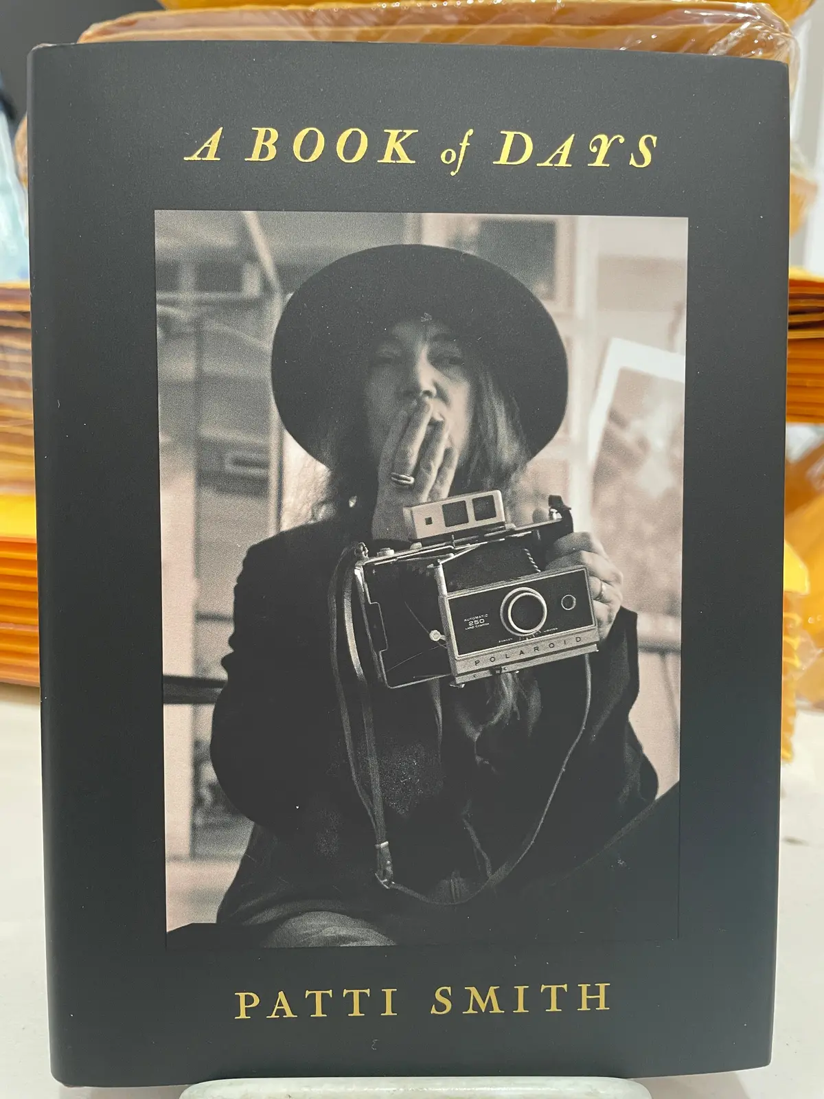 Smith, Patti: A Book Of Days [Used Hardcover] 1