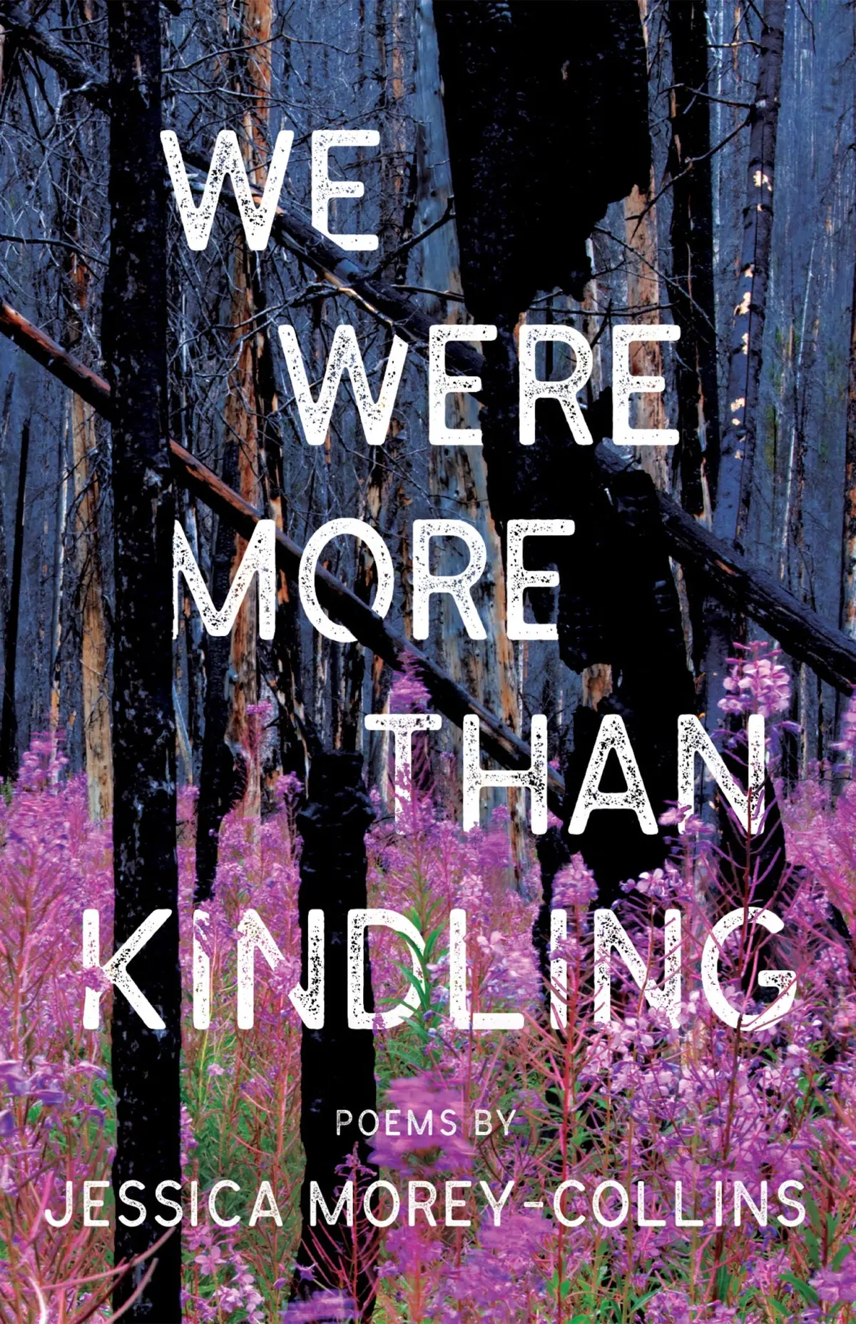 Morey-Collins, Jessica: We Were More Than Kindling 1