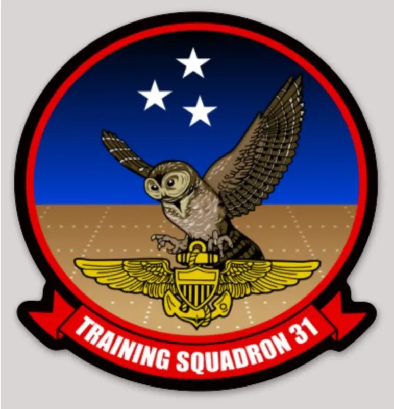 Officially Licensed Us Navy Vt-31 Wise Owls Sticker 1