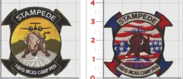Official Camp Pendleton H&Hs Stampede Air Patches And Name Tags 1