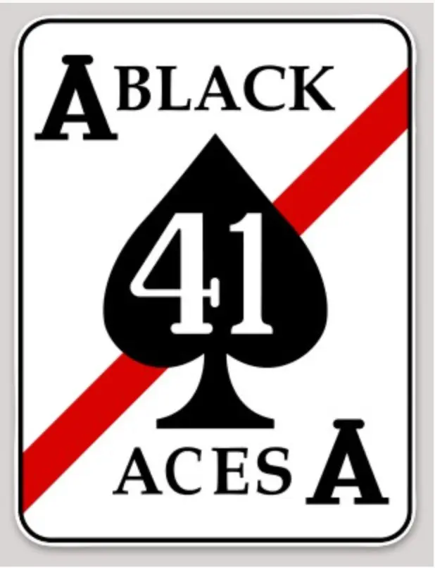 Officially Licensed Us Navy Vf-41/Vfa-41 Black Aces Stickers 1