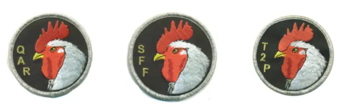 Official Vmm-263 Chicken Flightline Qual Patches 1