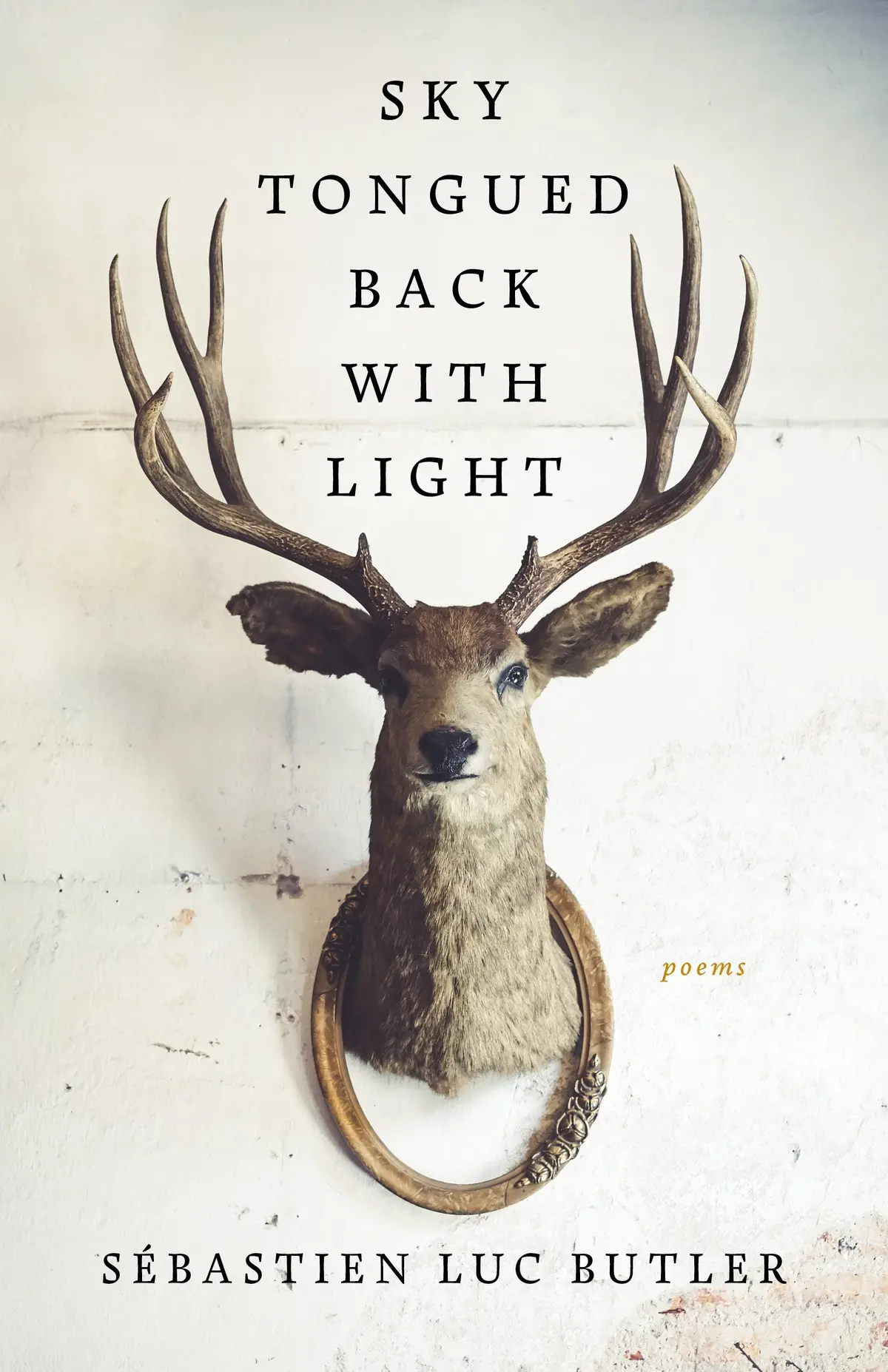 Butler, Sébastien Luc: Sky Tongued Back With Light 1