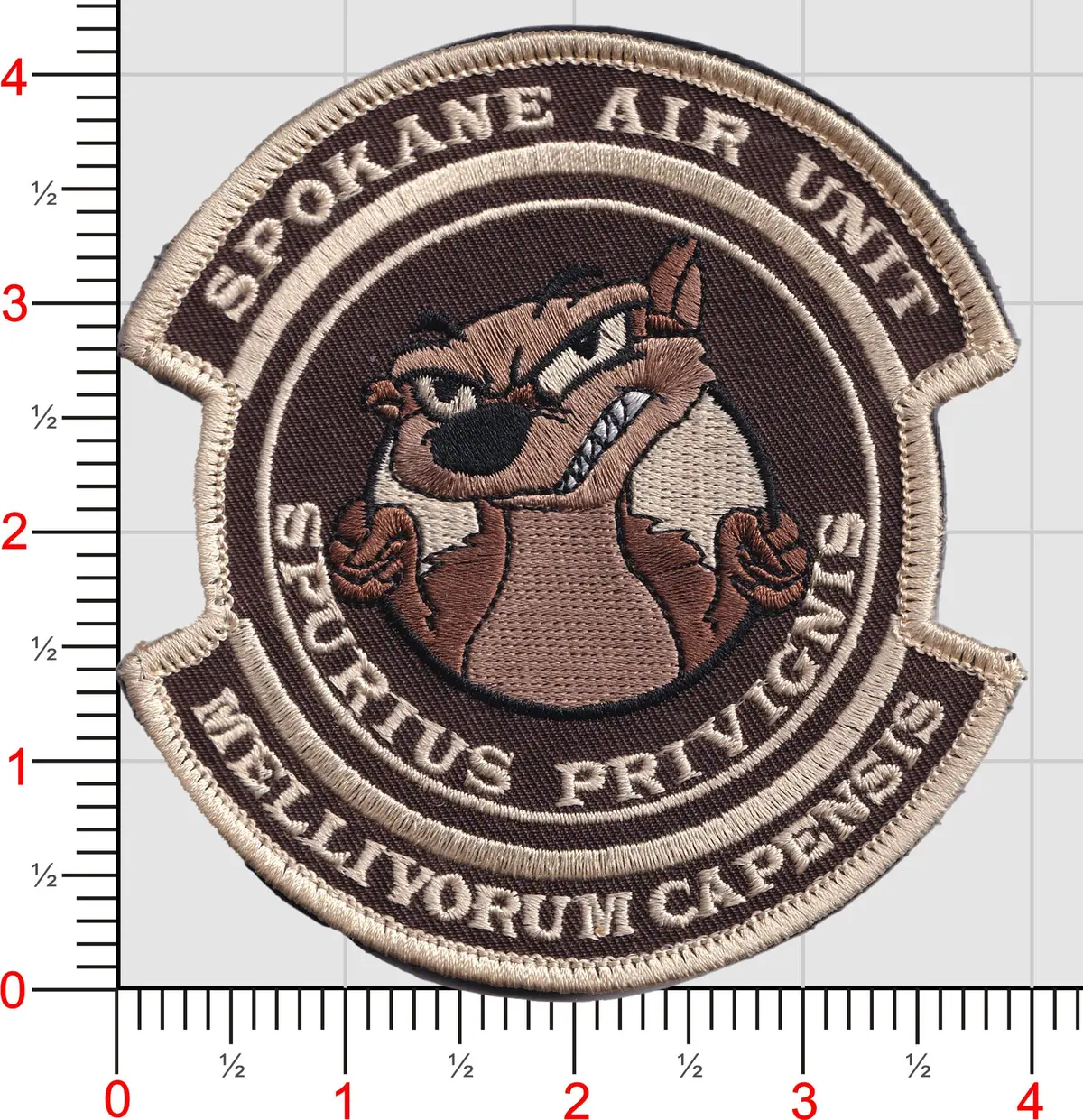 Uscbp Spokane Air Unit Badgers Patch 1