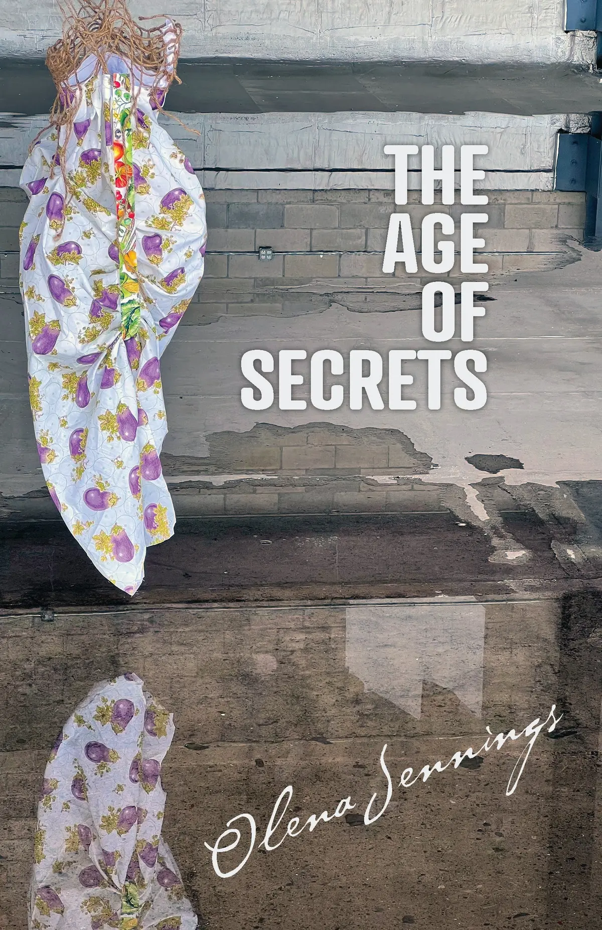 Jennings, Olena: Age Of Secrets 1