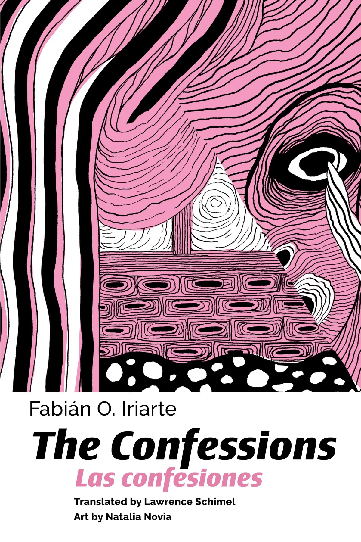 Iriarte, Fabiàn: Confessions 1