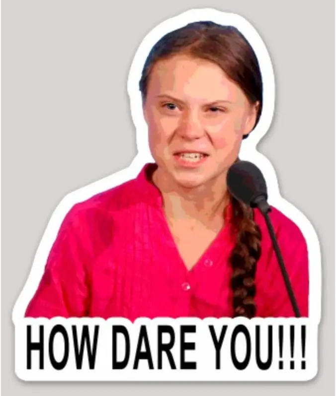 Thunberg How Dare You Sticker 1