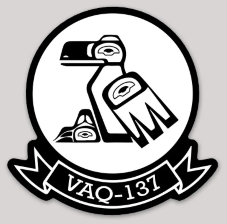 Officially Licensed Vaq-137 Rooks Squadron Sticker 1