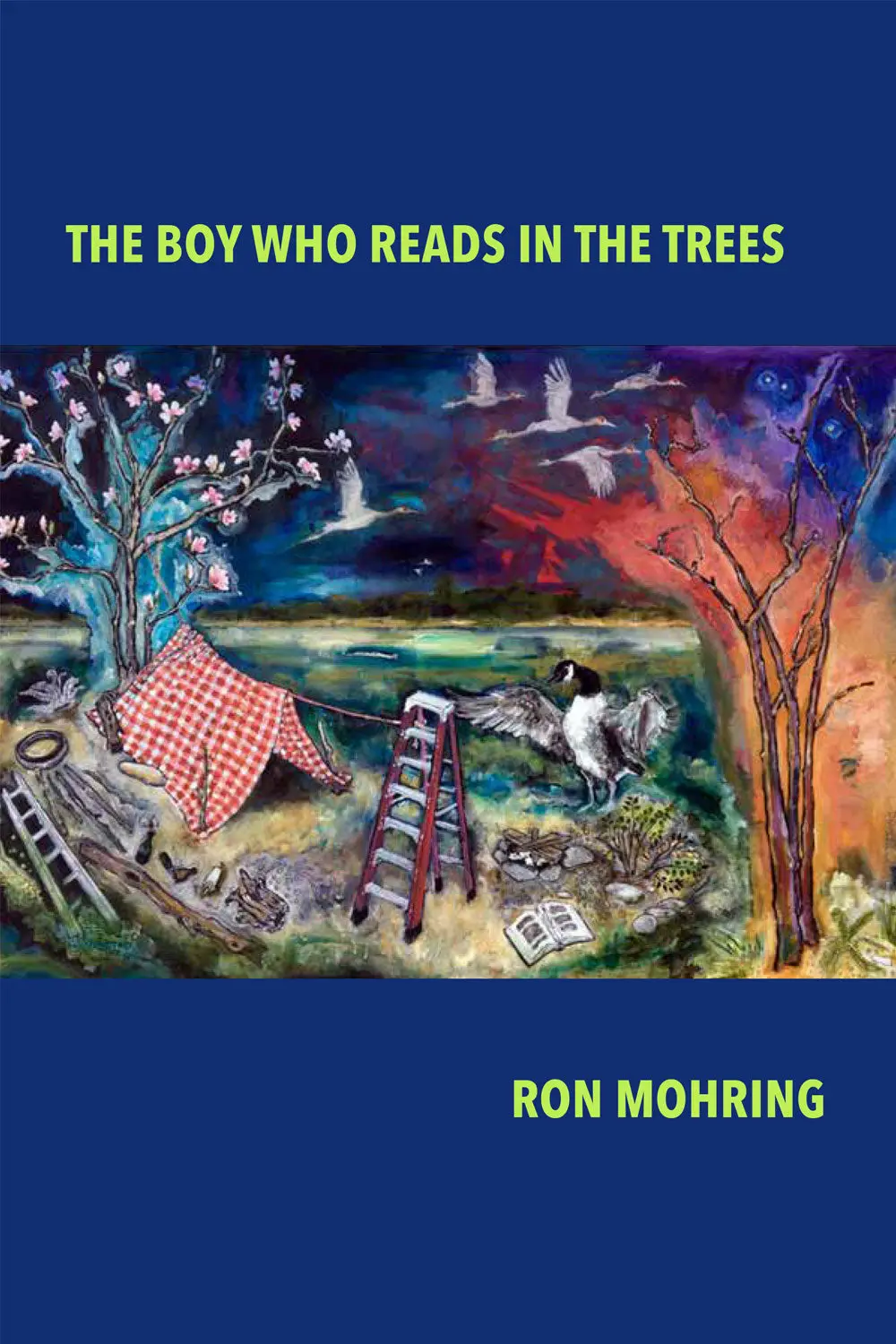Mohring, Ron: The Boy Who Reads In The Trees 1