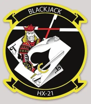 Officially Licensed Us Navy Hx-21 Blackjacks Sticker 1