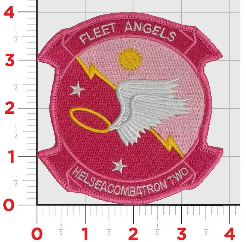 Official Hsc-2 Fleet Angels Cancer Awareness Command Patch 1