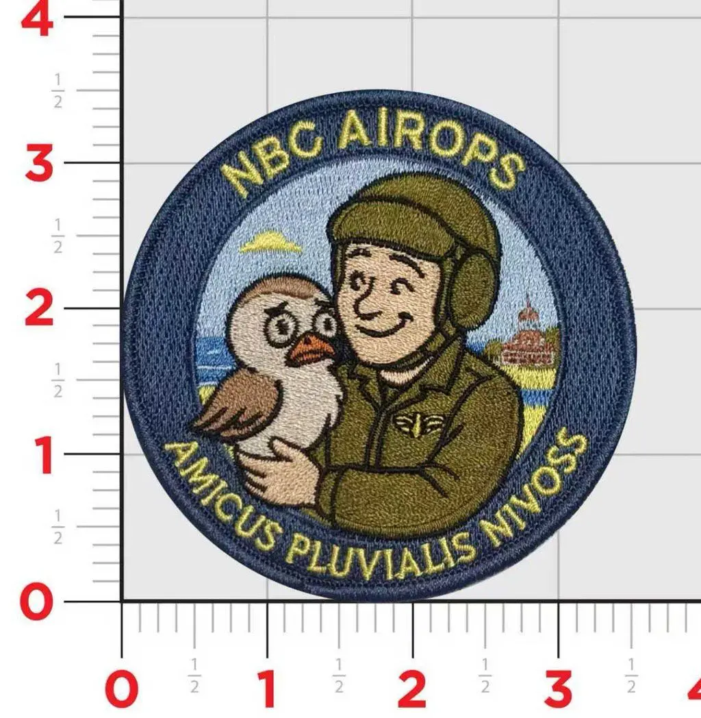 Naval Base Coronado Snowy Plover Patch 1